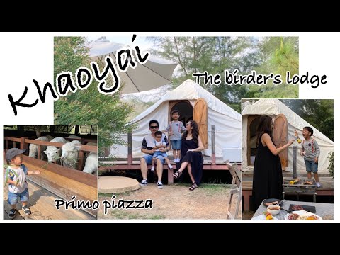 VLOG 4 - ไปให้อาหารเจ้า Alpaca ที่Primo Piazza & Glamping ที่ The Birder's Lodge II Family T II