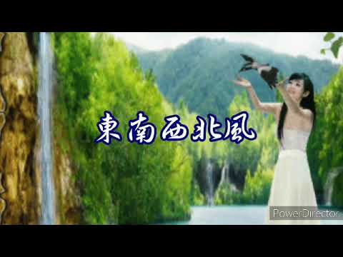 東南西北風 -- 小阿楓