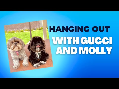 Hanging out with Gucci and Molly