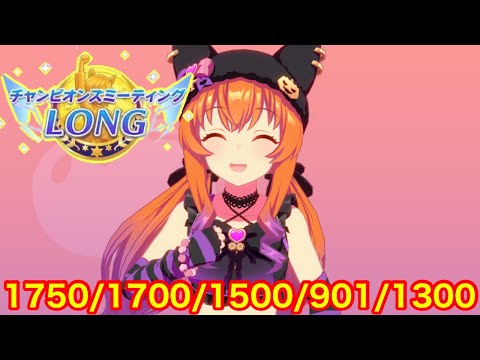 【ウマ娘】チャンミ最後のピース！マヤノトップガン育成を開始する！！【チャンピオンズミーティング有馬記念】