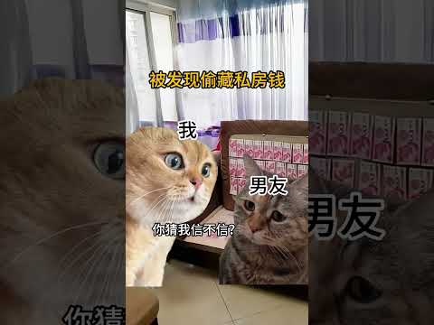 猫猫是不会骗人的...就是抽奖抽到的😤😤 #龙龙龙龙龙 #HappyDragons #FUNHUB