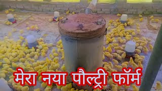 आज हमारे नये फॉर्म मे मुर्गी ke बच्चे आये हैं | poultry industry |deshi life #poultry #agriculture