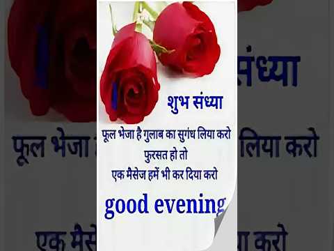 Good Evening WhatsApp Status | WhatsApp Status Video