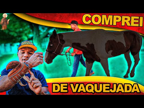 Comprei Mais um Cavalo de Vaquejada