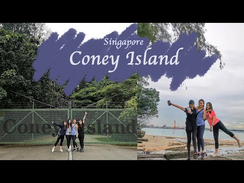 [ Daily Vlog ] Cycling at Singapore Coney Island Park at Punggol 在新加坡榜鵝科尼岛骑脚踏车