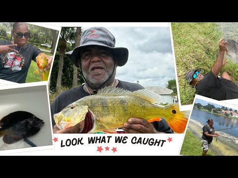 LOOK WHAT WE CAUGHT TODAY#fypyoutube #fishing #bassfishinglife #bassfishing #tilapia #explorepage