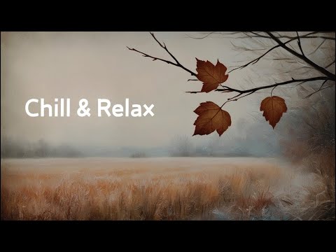 [Comfortable Western Music Playlist] Chill Western Music to Soothe the Soul/Stylish Western Music