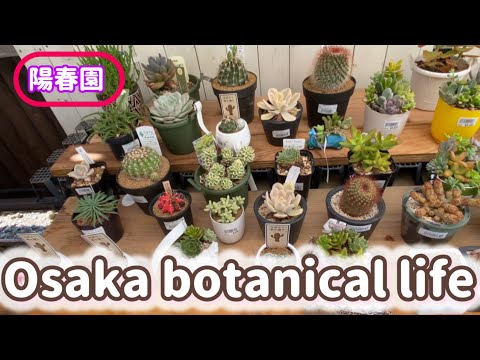 🍃Osaka botanical life🍃陽春園に行ってきました💛