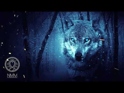 Native American Flute Music   'Wolf Instinct', Meditation Music for Shamanic Astral