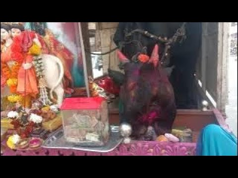 3 आंखों वाली और 3 मुख वाली मां (विट्ठल भगवान लाइव दर्शन) #viral#video #bhakti #2024