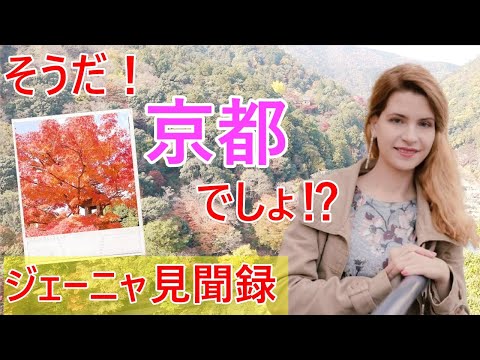 【京都観光】そうだ京都でしょ！