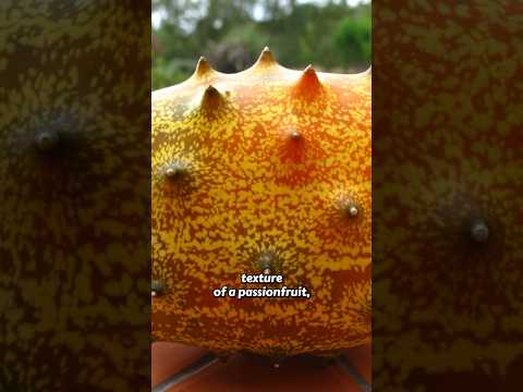 How does this SPIKEY African Fruit Taste?! (Kiwano / African Horned Melon)