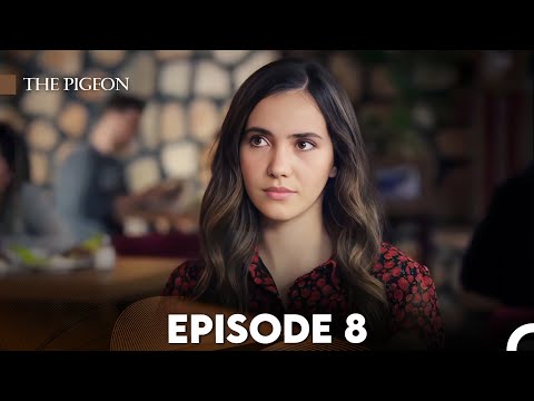 The Pigeon Episode 8 (FULL HD)