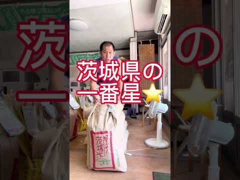 【岐阜市の美味しいお米】岐阜のお米屋がお勧めのお米　茨城県のお米　一番星　#shorts