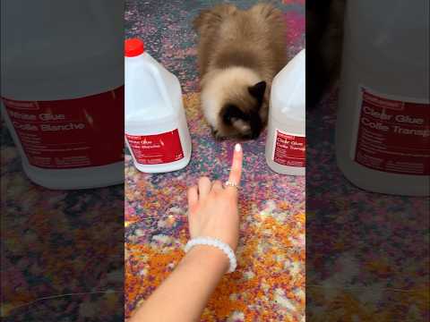 Letting MY CAT MAKE SLIME! 🙀😨