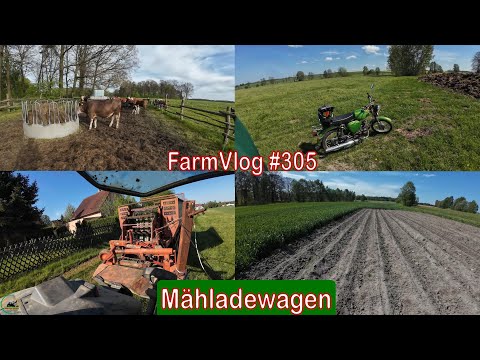 Farmvlog #305: Läuft der Mähladewagen?! | Rinder kommen auf die Weide | AKF mit Simson