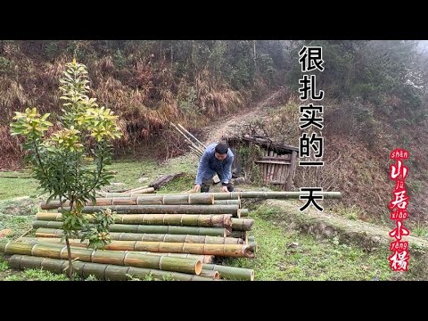 很扎实的一天，从早忙到晚效果也很显著，2号鸡舍也逐渐成型【南方小杨】