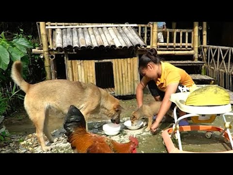 Single mother has to make sticky rice, peanuts, beans to make a living - son has to be hospitalized.