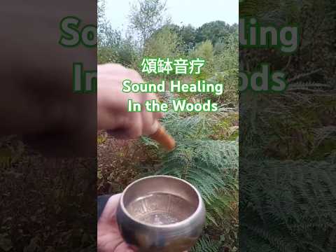 頌缽音疗Sound Healing in the Woods #灵性疗愈 #身心灵疗愈 #soundhealing #healing #頌缽 #短視頻 #nature #大自然