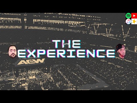 AEW: ALL IN 2024 REVIEW!