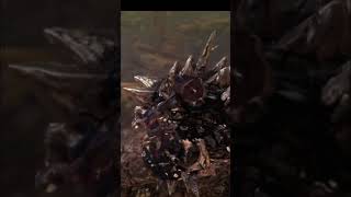 Radobaan Ride Ends With A Bonk #monsterhunter #mhw #radobaan #gaming #gamingvideos