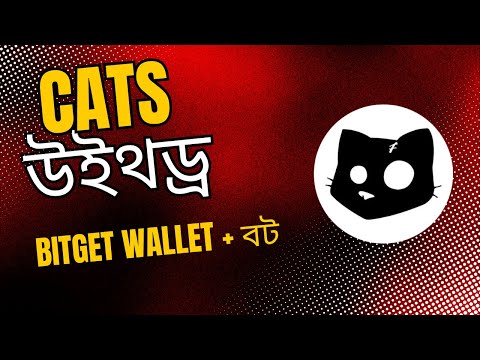 Cats বট এবং Bitget রিওয়ার্ড উইথড্র | Lunchpool Reward for Withdrawing Cat Tokens from Bitget.