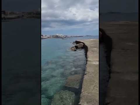 🏝️ Clear water in Tenerife 🏝️ #tenerife #canaryislands #costaadeje