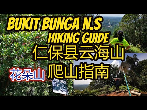 Bukit Bunga Serting Batu Kikir Negeri Sembilan Hiking Guide森美兰花朵山爬山指南