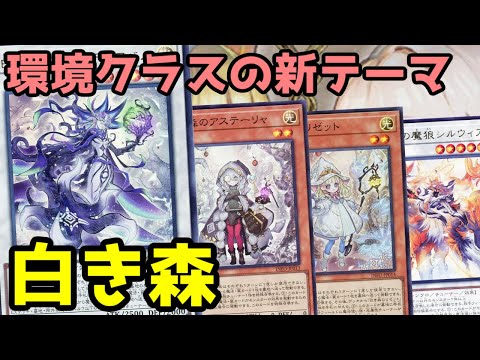 【#遊戯王】イラスト、効果、出張性能どれもハイレベルな新テーマ！環境レベルの『白き森』紹介します！