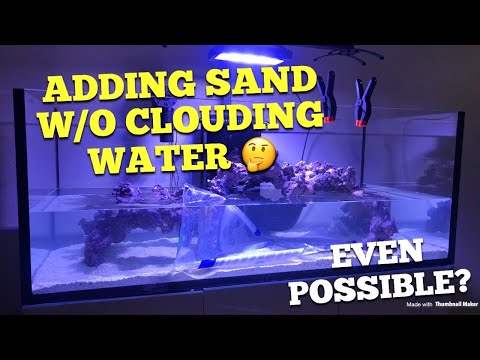 Add Sand w/o clouding water 🤔