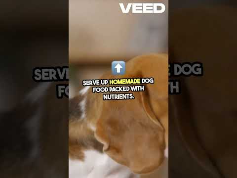 Delicious Homemade Dog Food Recipes!