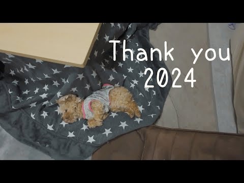 【年末】愛犬とゆっくり過ごす年末