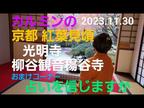 カルミンの【京都紅葉】【光明寺　柳谷観音楊谷寺】【占いを信じますか】