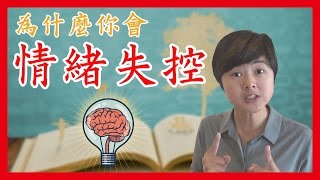 為什麼，你會容易情緒失控？│【腦科學】6 Ying Wei 快樂廣播#7