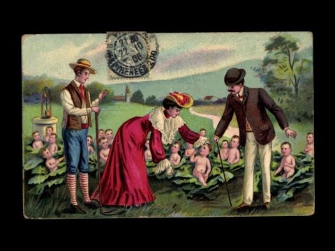 Repopulation Postcards - Orphan Kids / CABBAGE PATCH KIDS / 1800 Cloning