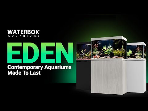 The EDEN Freshwater Aquarium System from Waterbox Aquariums®