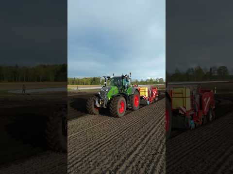 728 beim Kartoffeln pflanzen 🤩 #2024 #farming #landwirtschaft #agriculture #viral #fendt #grimme