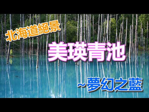 【夏日北海道自由行】北海道必遊秘境--美瑛青池與白鬚瀑布，藏身山林之中的夢幻絕景。