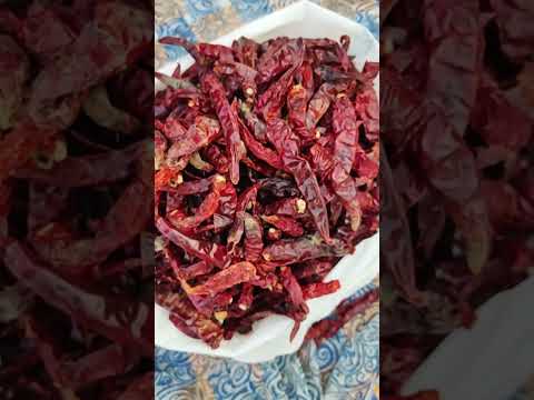 Homemade Red Chilly Powder  | தனி மிளகாய் தூள் | Healthy Cooking Channel | #shorts