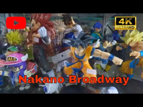 Tokyo Anime Figure | Exploring Nakano Broadway: An Otaku Paradise of Tokyo.