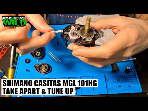 SHIMANO CASITAS MGL 101HG - Take Apart & Tune Up - Fishing Reel Maintenance