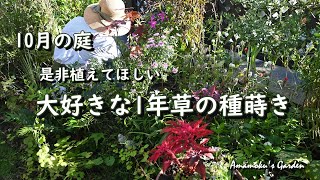 10月の庭の様子【秋の種まき】ステキな一年草/カミキリムシの退治/ガーデンVlog