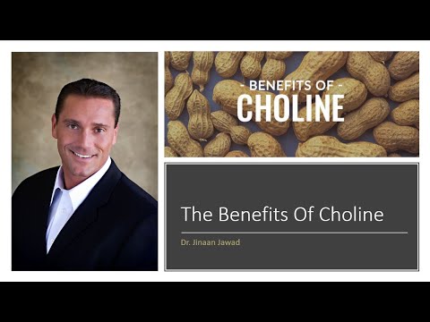 What Is Choline?