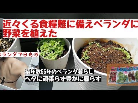 ベランダ活用法/日焼けを楽しみ、野菜を植え、破れたバッグを捨てた。