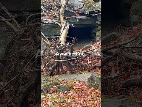 Out prospecting and came across this creepy cave #Vermont #Gold #Prospecting #Cave #Nature #Mining