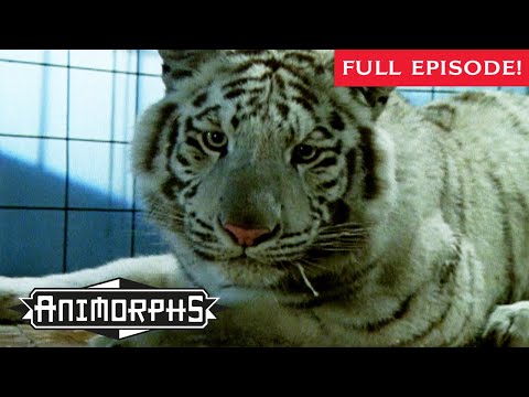 Underground | Full Episode | Animorphs | Scholastic Classic