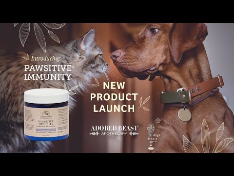 New Product Launch - Pawsitive Immunity!