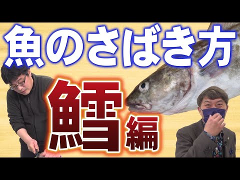 【すし県富山】魚のプロが教えるさばき方～鱈編～　コンプレッサー見聞録onYouTubeDesigned by The COMP