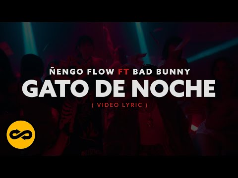 Ñengo Flow, Bad Bunny - Gato De Noche (Video Lyric)