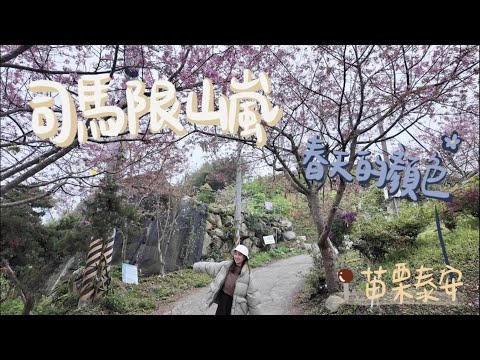 肥胖勾Camping｜第二十五露｜司馬限山嵐｜苗栗｜櫻花露營｜挑戰煎湯圓｜春季露營